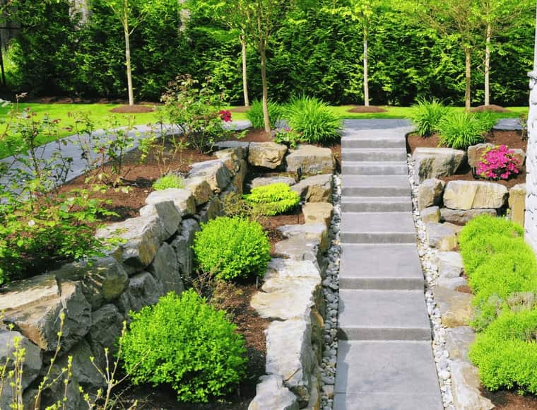 Stone steps through a landscaped garden