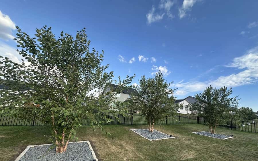 Yard grading and soil preparation