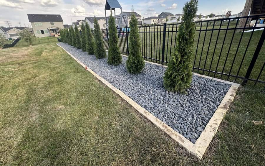 Newly planted trees in a rock bed